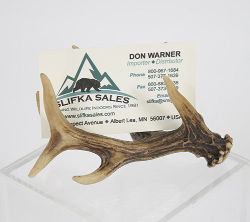 Antler Business Card Holder